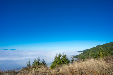 Obraz premium Above the Clouds in Coburg Hills of Oregon