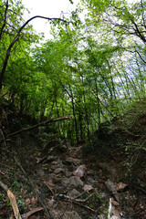 Rastenbachklamm, Südtirol, Italien
