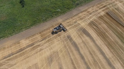 Fields of wheat and barley, the work of agricultural machinery. Harvesting barley harvesters. Combine harvesters and tractors.