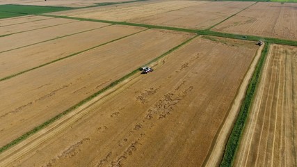 Harvesting barley harvesters. Fields of wheat and barley, the work of agricultural machinery. Combine harvesters and tractors.