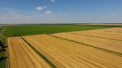 Obraz premium Harvesting barley harvesters. Fields of wheat and barley, the work of agricultural machinery. Combine harvesters and tractors.
