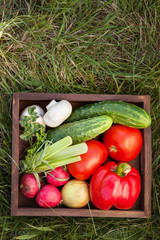Vegetables in a box for salad on the grass in a summer garden