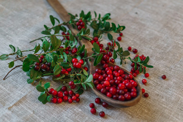 Berries of red lingonberry in a wooden spoon, along with twigs, on a table.
