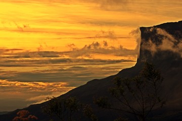 Sol
