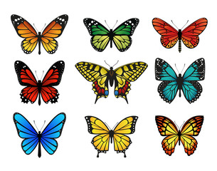 Obraz na płótnie Canvas Colorful butterflies set. Vector illustration