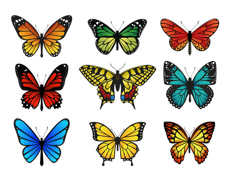 Colorful butterflies set. Vector illustration