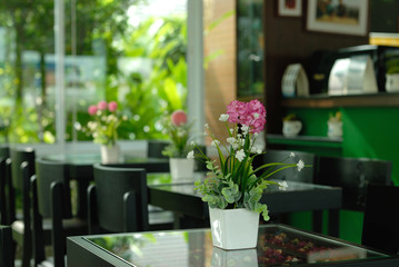 flower pots decoration on table
