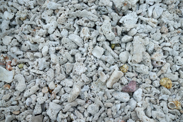 Dead coral surface at coral stone beach, top view closeup for background.