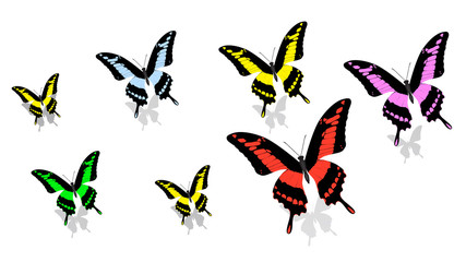 exotic butterfly of different size and color, random order, top view