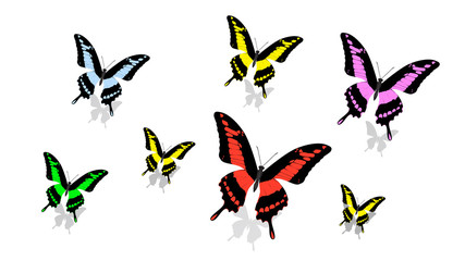 exotic butterfly of different size and color, random order, top view