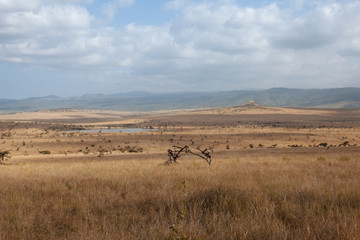Fototapeta na wymiar Landscape in Kenya,