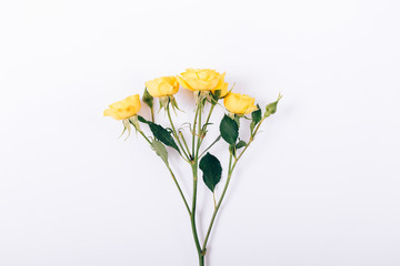 Yellow roses on a white table