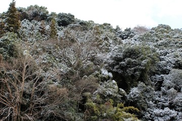Trace of snow on mountains in a warm climate 