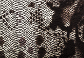 brown skin texture of a reptile; snake skin texture