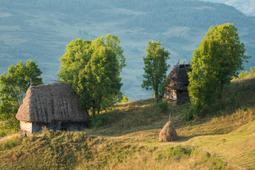 Traditional Transylvanian houses in Dumești, Romania.