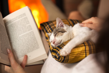 Naklejka premium Kobieta czytająca przy ognisku i pocieszająca kociaka ratunkowego