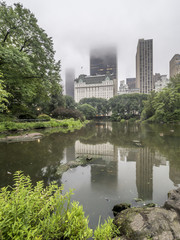 Fototapeta premium Central Park, New York City dunter