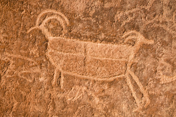 Two-Headed Big Horn Sheep Petroglyph