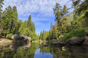The beautiful merced river in Yosemite National Park