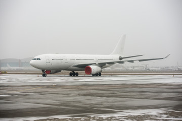 Fototapeta na wymiar Large wide-body passenger airplane standing on the apron on the parking place of international airport during snow blizzard