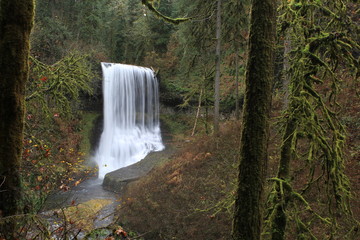 Cascading Falls 3