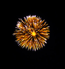 Firework