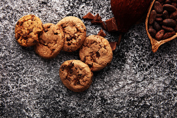 Chocolate cookies on grey table. Chocolate chip cookies shot