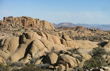 Wide rocky landscape in the Jumbo Rocks section of Joshua Tree National Park, California, under a clear blue sky