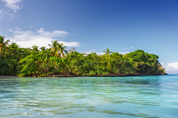 Fototapeta na wymiar Caribbean scenic landscape, tropical green island in the blue sea