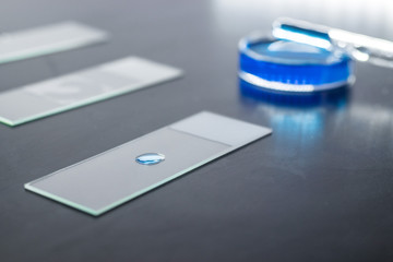 Microscope glass slide with a small blue substance droplet, with petri dish and pipette dropper in...