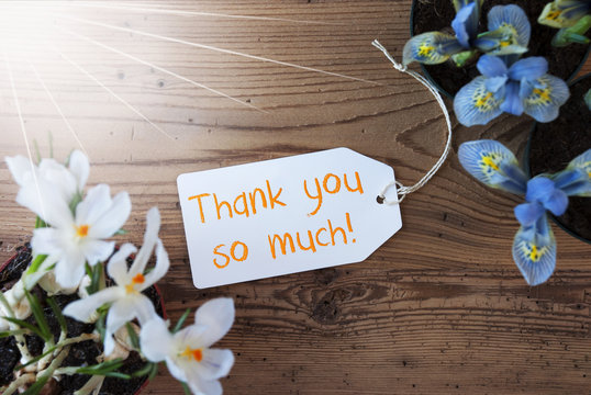 Sunny Flowers, Label, Text Thank You So Much