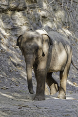 Fototapeta premium Travel Pictures North thailand, ANGELA MICHEL PHOTOGRAPHY