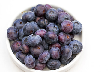 Bowl of Blueberries against a white background