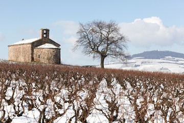 Landscape with the chapel Saint-Pierre and Mont Brouilly in Beaujolais, France