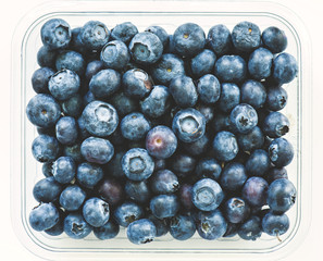 blueberries, isolated