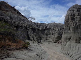 The Lunar landscape of Los Hoyos, the Grey Desert, part of Colombia's Tatacoa Desert. The area is an ancient dried forest and popular tourist destination.