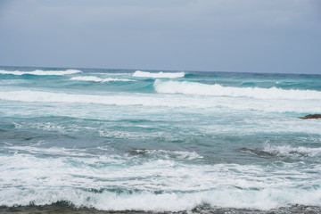 Fototapeta premium Turtle Bay Pacific Ocean Beach