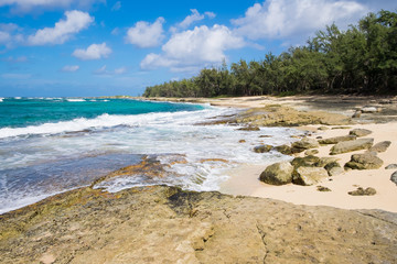 Turtle Bay Pacific Ocean Beach