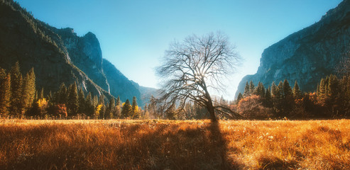 Yosemite Valley in Autumn 