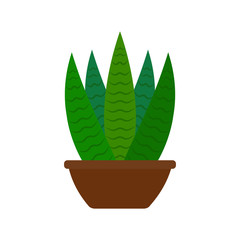 Abstract cute cactus