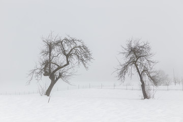 Minimal winter landscape in Slovenia-Europe
