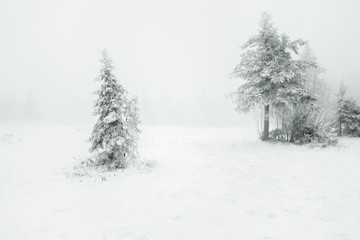 Urals winter landscape. Russia.