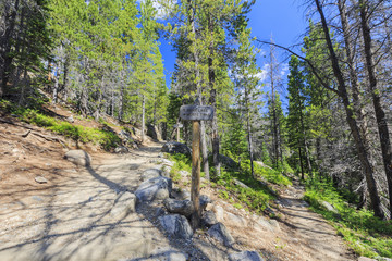 Naklejka premium Wood sign in Rocky Mountain National Park