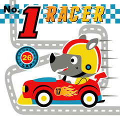 racer cartoon animal