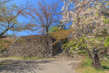 春の懐古園の風景