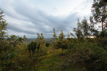 Landscape in Kenya,