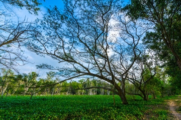 View at Bang Phra Reservoir, Sriracha, Chonburi, Thailand