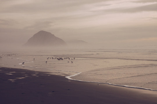 Morro Bay with Waves and Birds at Dusk