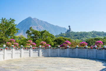 Polin temple with Buddha image in Hong Kong