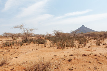 Landscape in Kenya,